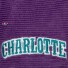 Charlotte Hornets Cappellino - - NBA Tutte le direzioni - Mitchell & Ness