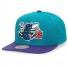 Charlotte Hornets Cappello Mitchell & Ness - - Team 2 tone