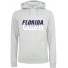 Felpa con cappuccio - Florida Gators - NCAA - Grigio