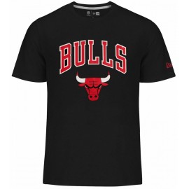 Chicago Bulls Tshirt - - New Era