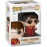 Funko PopHarry Potter Quidditch - !