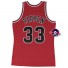 Maglia - Scottie Pippen - Bulls