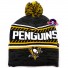 Cofano Pittsburgh Penguins