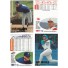 Pack Fleer - Aggiornamento Baseball '96 - Carte collezionabili
