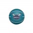 WilsonDribblerPalla Charlotte Hornets