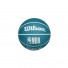 WilsonDribblerPalla Charlotte Hornets