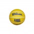WilsonDribblerPalla Golden State Warriors