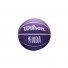 WilsonDribblerPalla Los Angeles Lakers