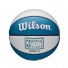 Mini pallone NBA - Charlotte Hornets