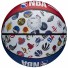 Wilson Pallone NBA All Team - Taglia 7