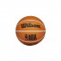 WilsonDribblerPalla Phoenix Suns