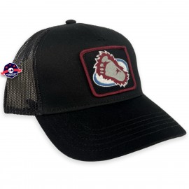 Colorado Avalanche Trucker Cap - - American Needle